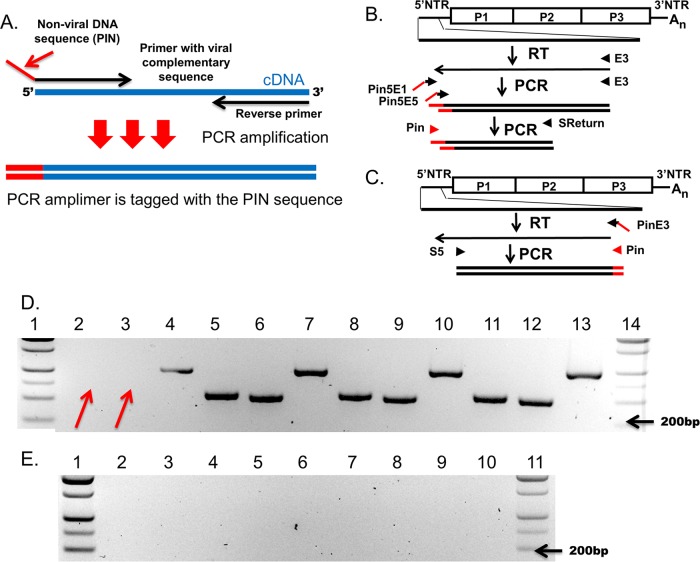 FIG 3