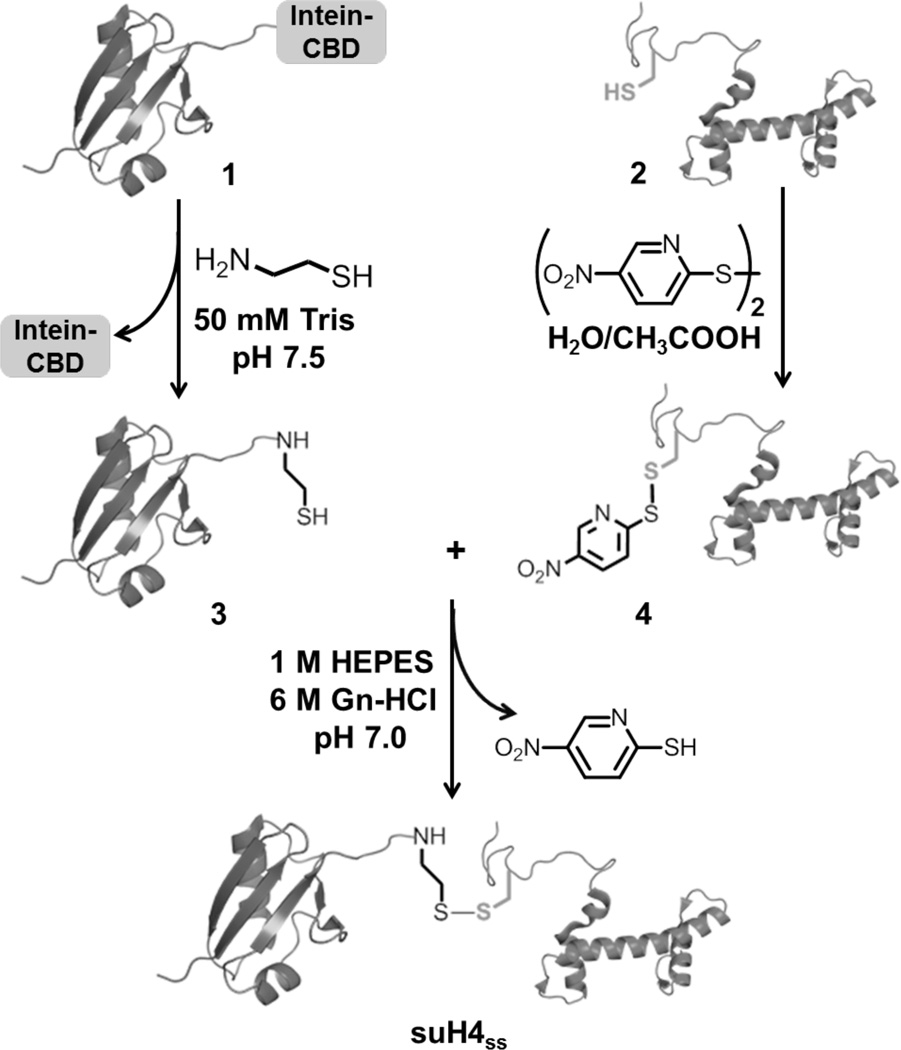 Figure. 1