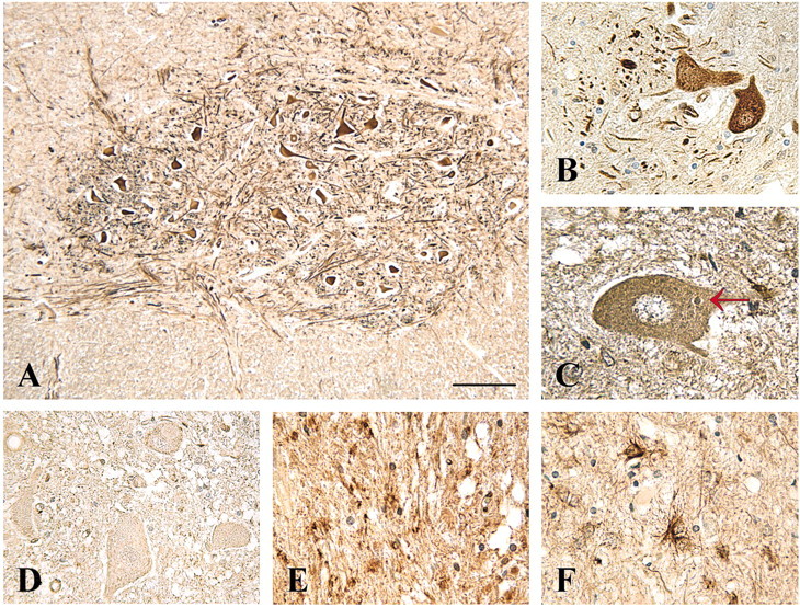 Figure 6.