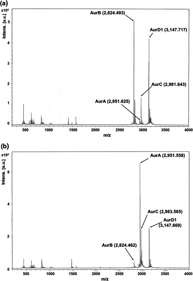 Fig. 4