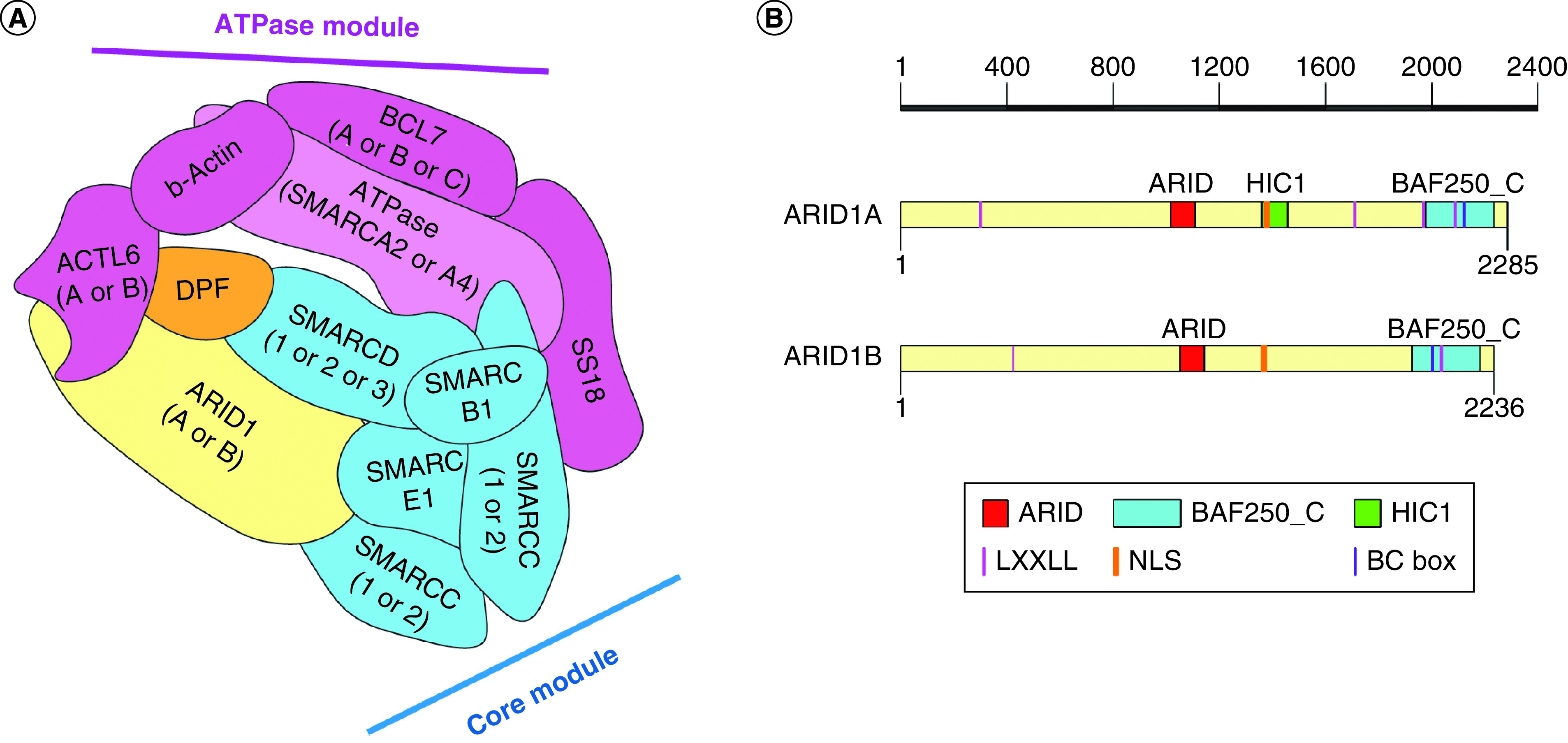 Figure 2. 