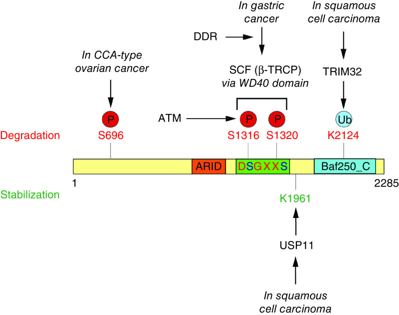 Figure 3. 