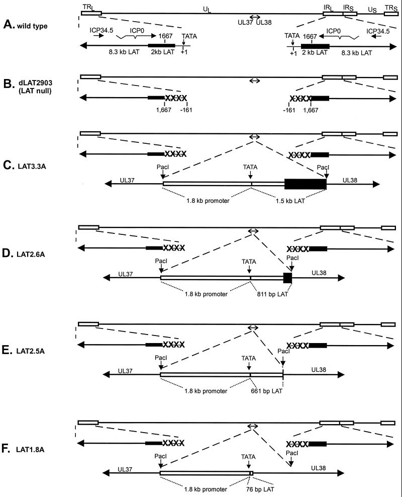 FIG. 5