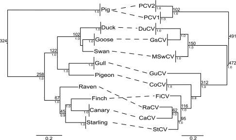 FIG. 2.