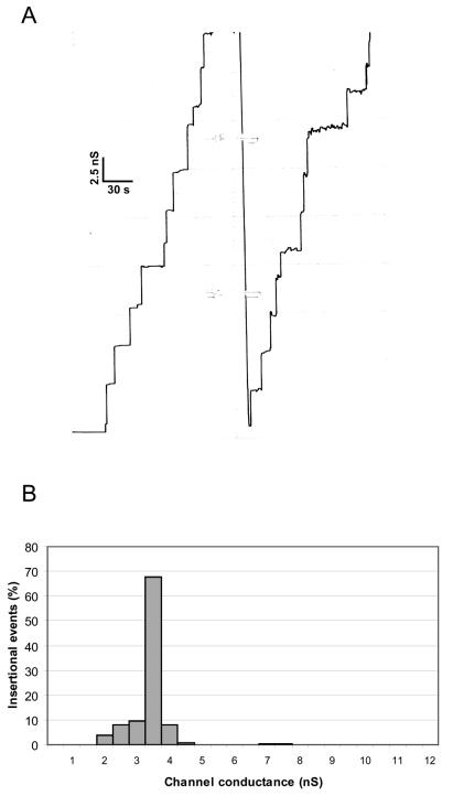 FIG. 5.