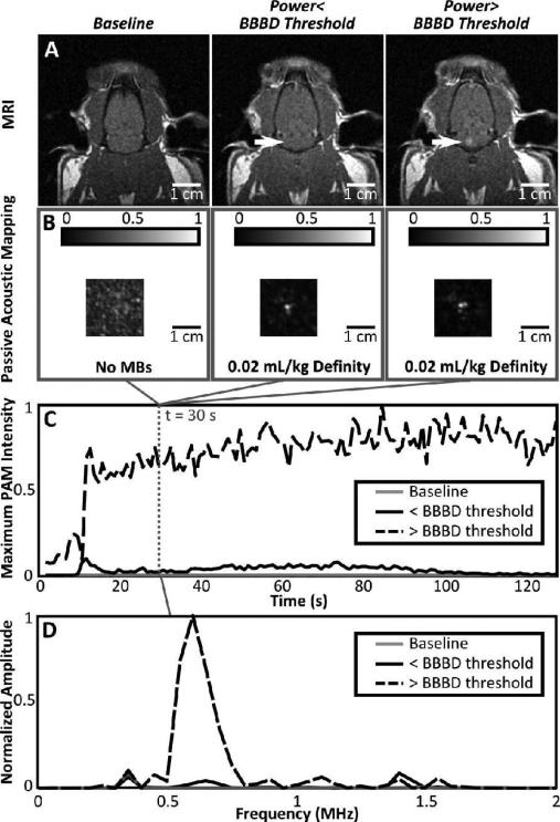 Fig. 11