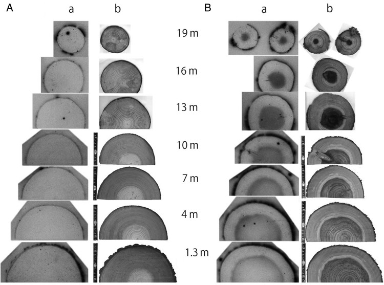 Fig. 3.