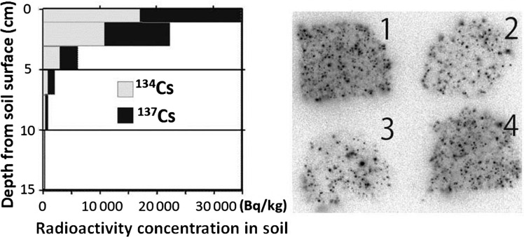 Fig. 2.