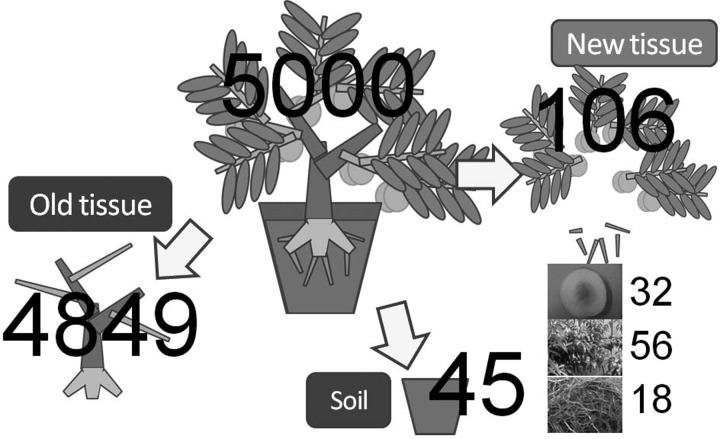 Fig. 4.