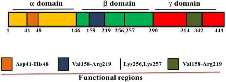 FIGURE 1