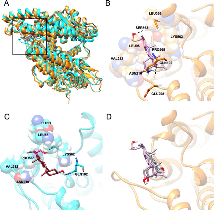 Figure 4