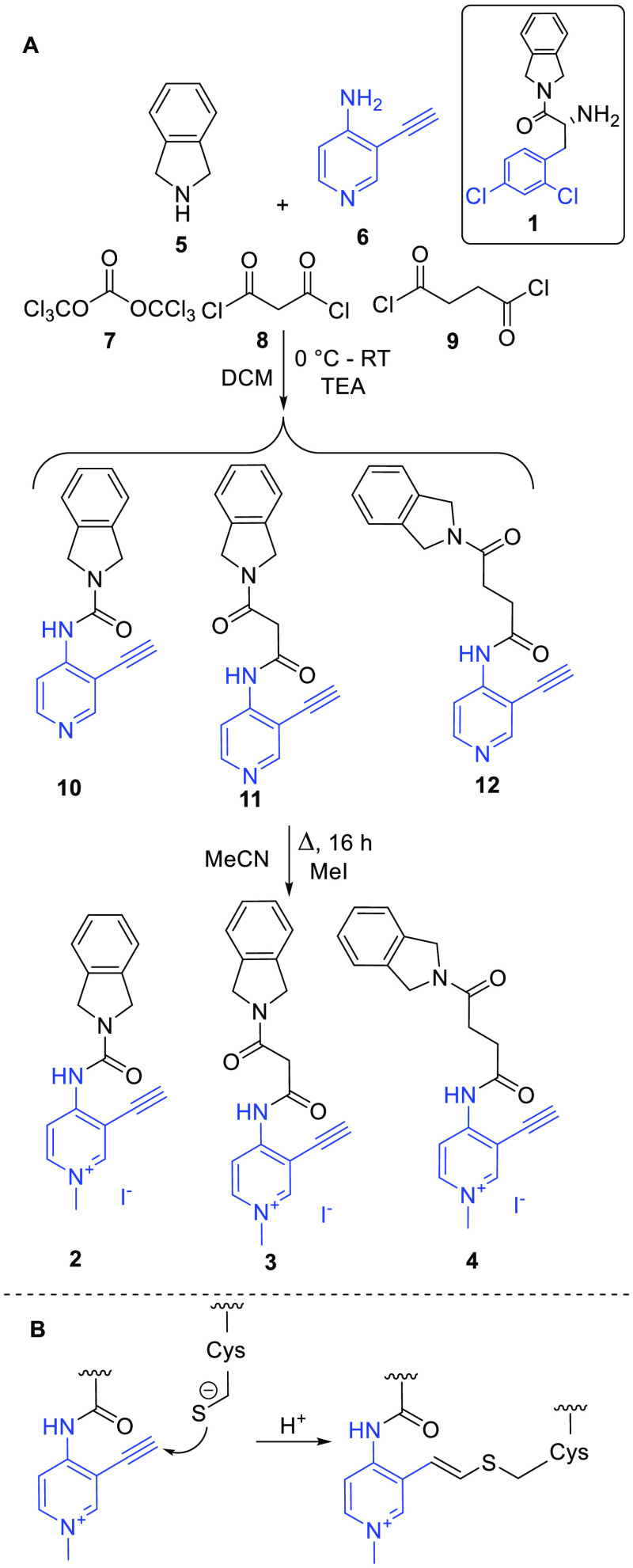 Scheme 2