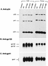 FIG. 9