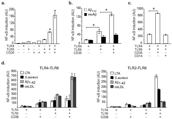 Fig 3