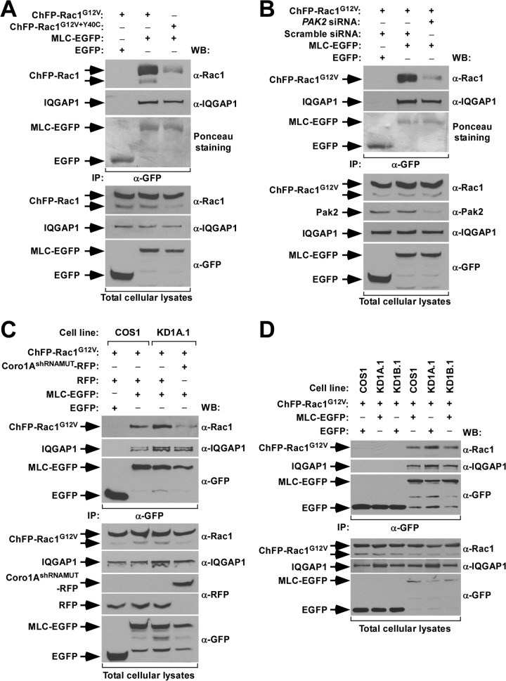 FIG 10