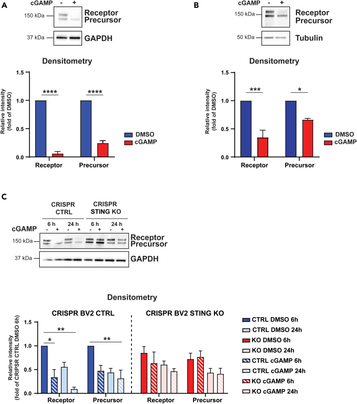 Figure 6