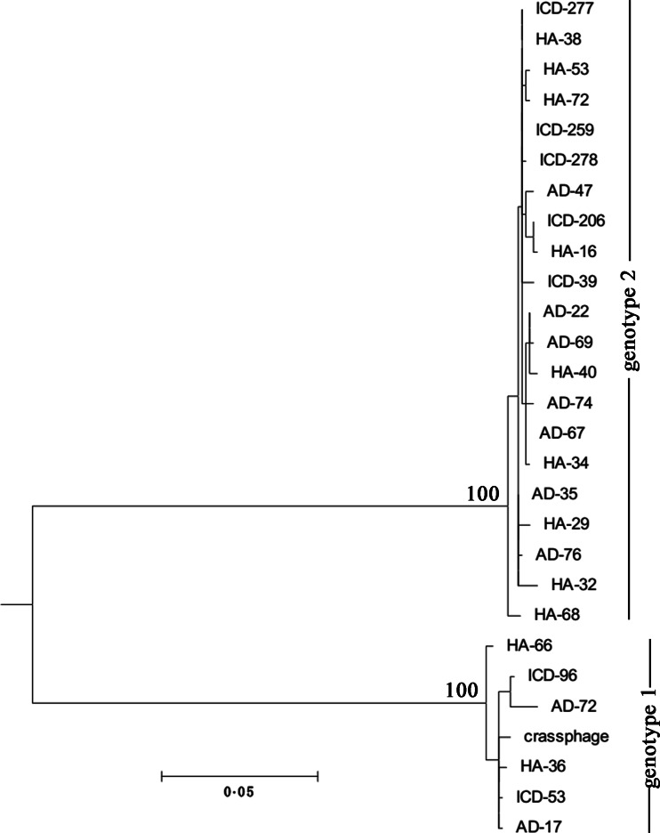 Fig. 1.