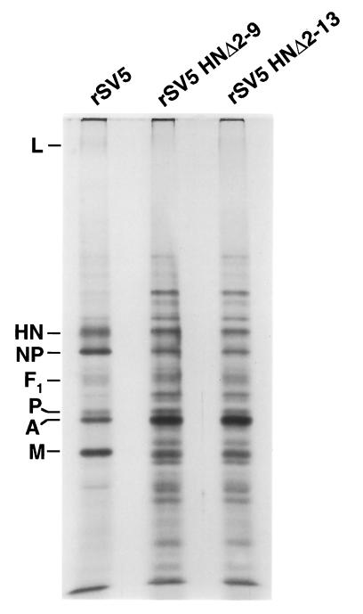 FIG. 6