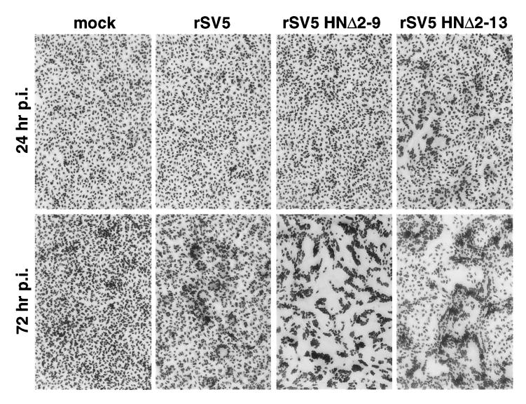FIG. 8