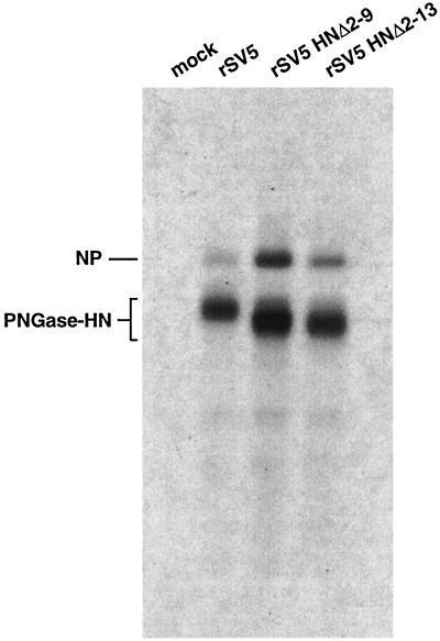 FIG. 3