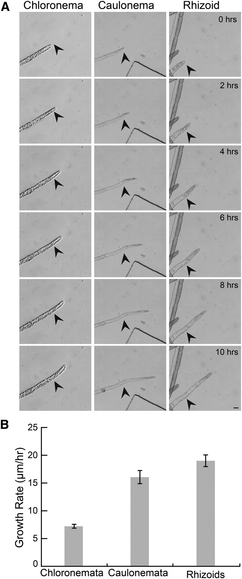 Figure 2.