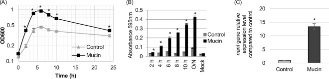 FIG 1