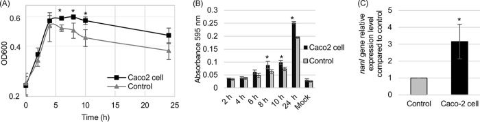 FIG 4