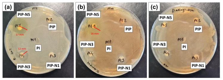 Figure 11