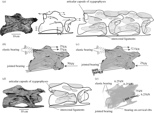 Figure 1.