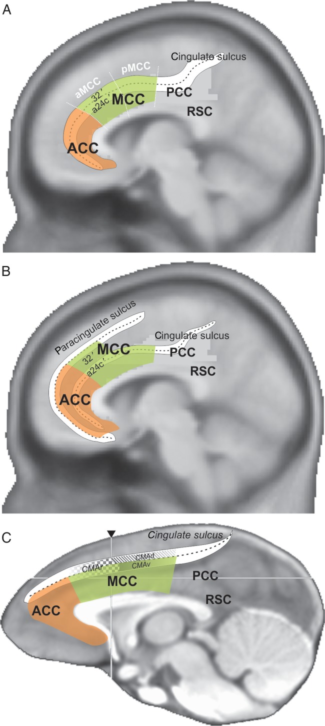 Figure 1.