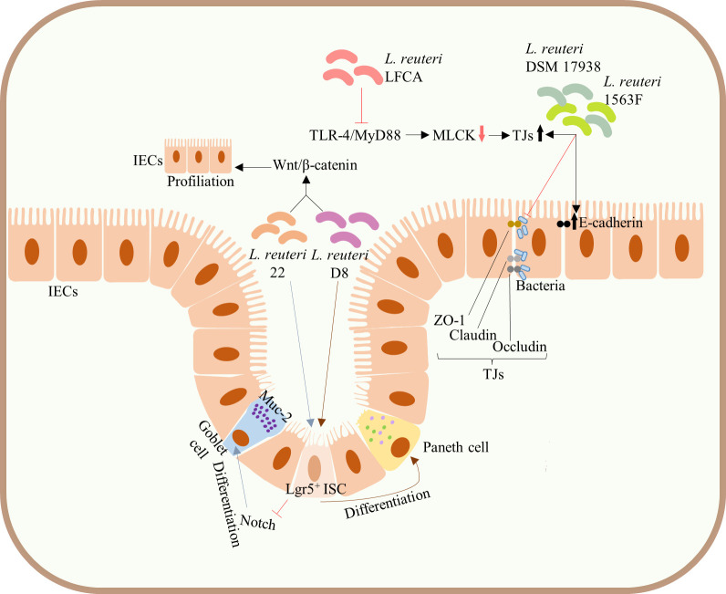 Figure 3