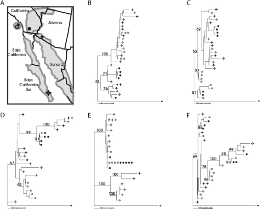 Figure 4.—