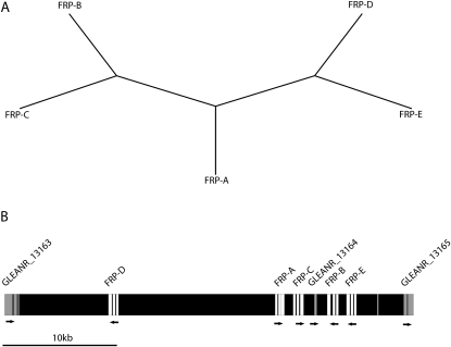 Figure 1.—