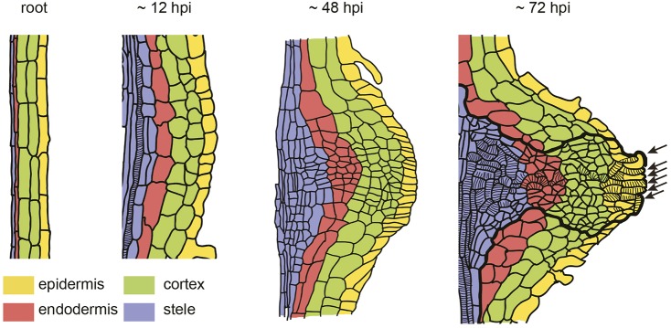 Fig. 7.