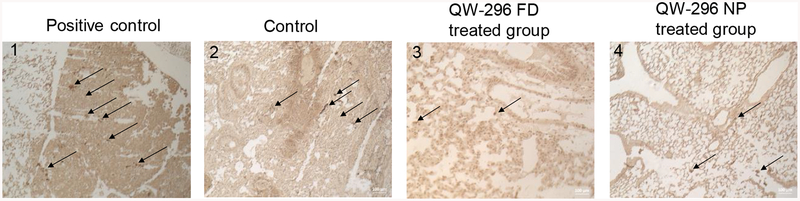 Figure 10.