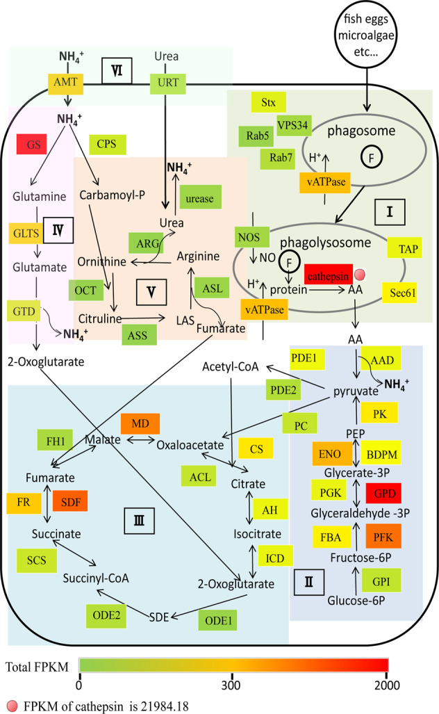 Fig. 3