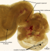 FIG. 2.