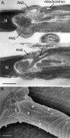 FIG. 4.
