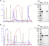 Supplementary Fig. 1