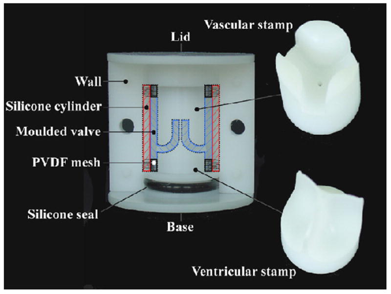 FIGURE 4