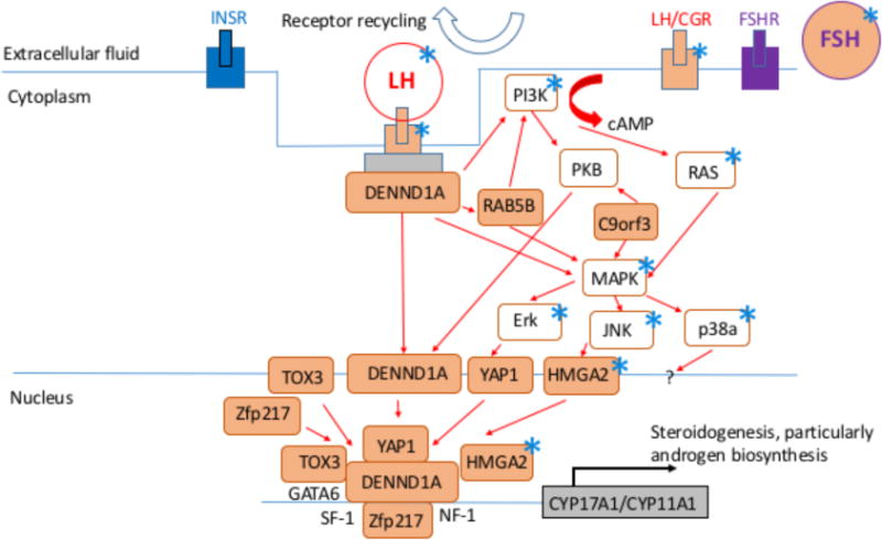 Fig. (3)