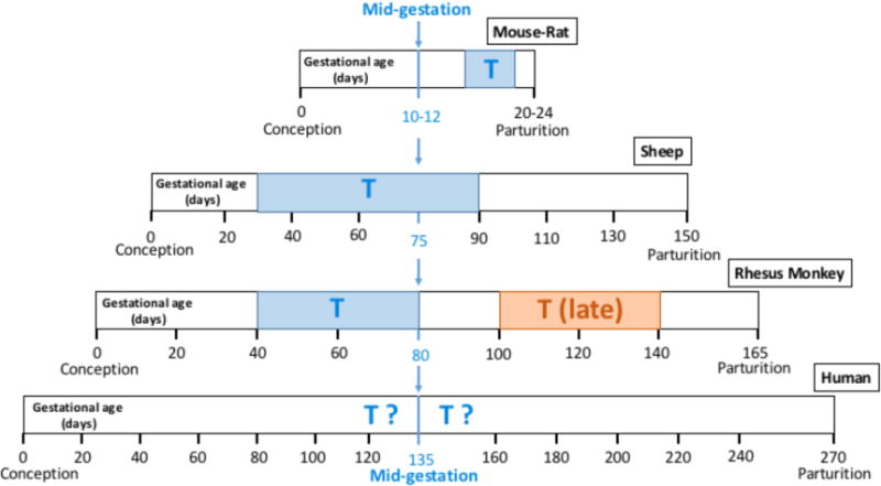 Fig. (1)