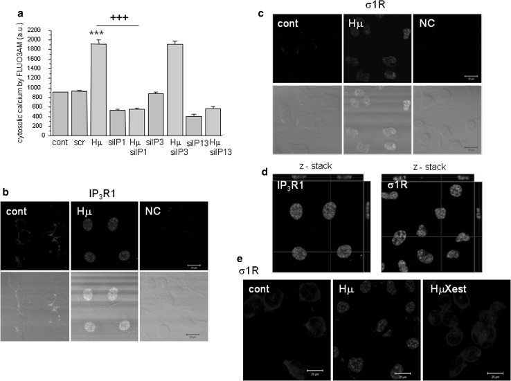 Fig. 2