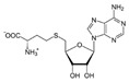 graphic file with name molecules-25-01289-i001.jpg