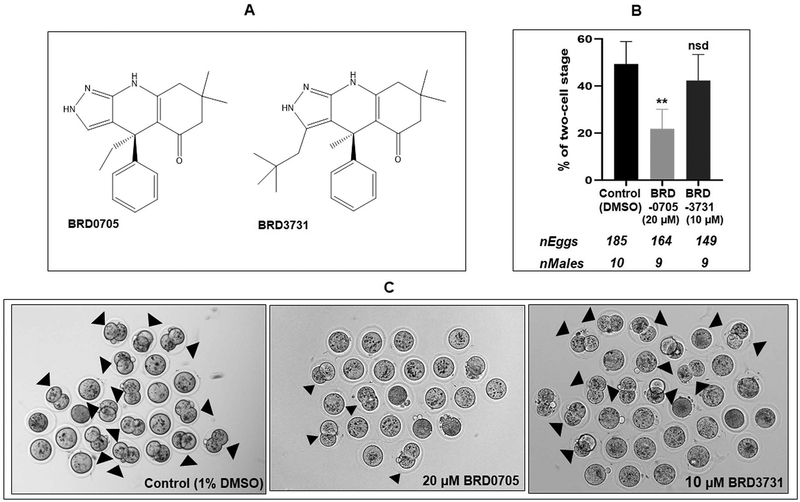 Figure 7: