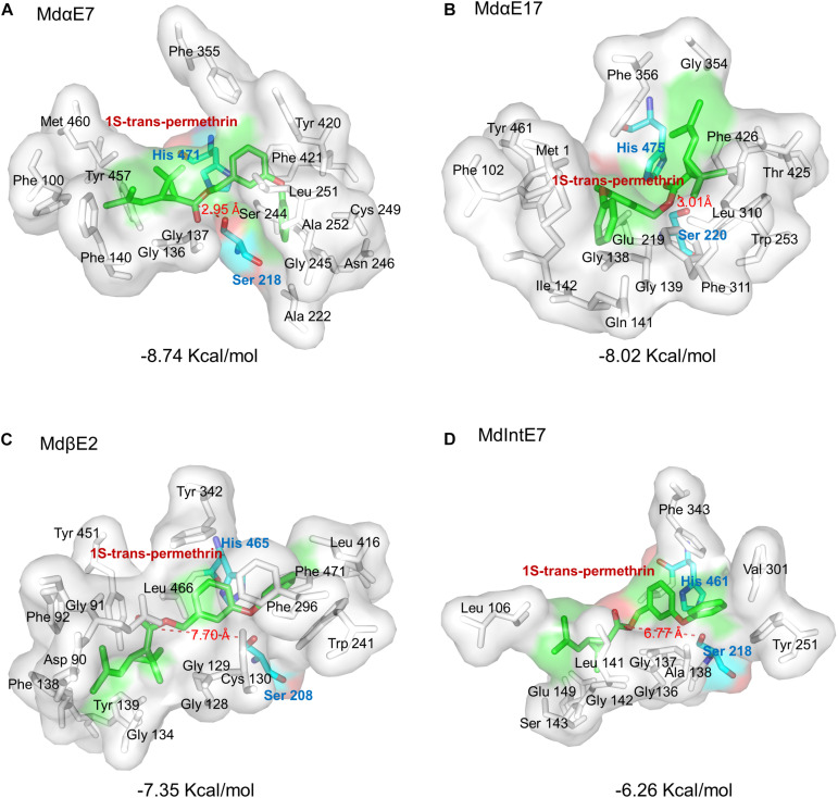 FIGURE 4