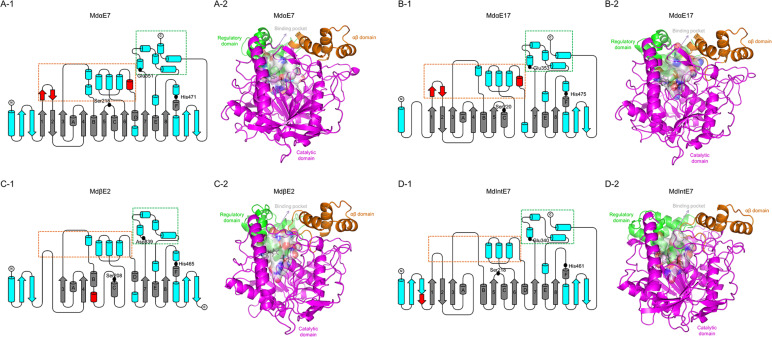 FIGURE 3