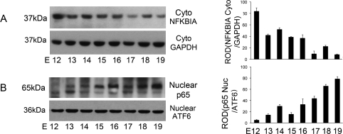 FIG. 6