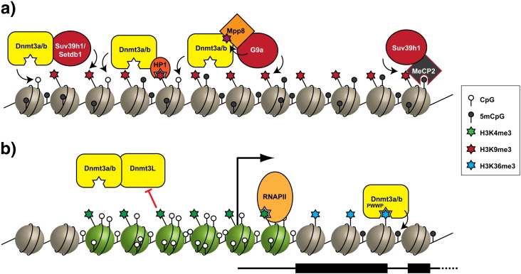 Fig. 1