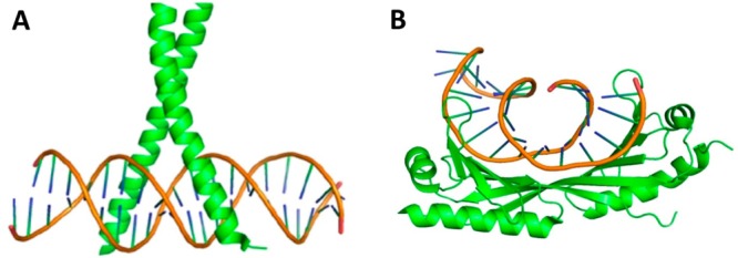 Figure 16